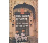 Les Villes Peintes Du Shekhawati