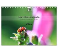 Les voisins du jardin - Une année de rencontres (Calendrier mural 2026 DIN A4 vertical), CALVENDO calendrier mensuel: Un calendrier tendre et coloré ... et fascinante des animaux de nos jardins.