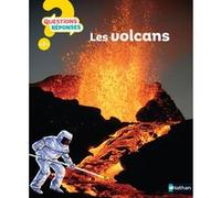 Les Volcans Simon Adams (Auteur), Elisabeth de Galbert (Traduction)
