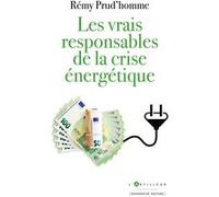 Les vrais responsables de la crise énergétique Rémy Prud'Homme (Auteur)