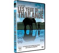 Les Yeux De La Thaïlande