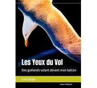 Les Yeux du Vol: Des goélands volant devant mon balcon