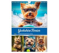 Les Yorkshire Terriers. De joyeuses boules d'énergie en action, Version française (Calendrier mural 2026 DIN A4 portrait), Calendrier CALVENDO mensuel