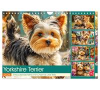 Les Yorkshire Terriers. Des minis adorables avec du charme et de l'esprit, Version française (Calendrier mural 2026 DIN A4 portrait), Calendrier CALVENDO mensuel