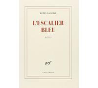 L'Escalier bleu Henry Bauchau (Auteur)