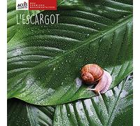 L'escargot