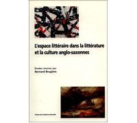 L'espace littéraire dans la littérature et la culture ango-saxonnes - Christine Berthin - Presses De La Sorbonne Nouvelle - broché - Etude