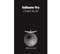 L'Esprit de sel - VIRY, Guillaume - Canoe Editions Du - broché - Roman