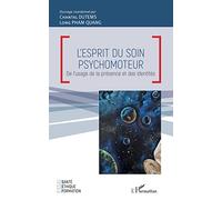 L'esprit du soin psychomoteur: De l'usage de la présence et des identités