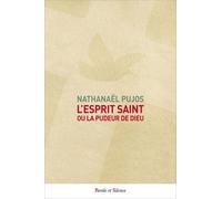 L'esprit Saint, Ou La Pudeur De Dieu