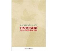L'Esprit Saint, ou la Pudeur de Dieu Nathanaël Pujos (Auteur)
