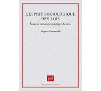 L'esprit sociologique des lois : Essai de sociologie politique du droit