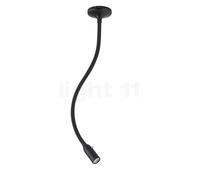 less 'n' more Zeus Z-MDL Plafonnier et Applique LED noir/tête noir - 45 cm - variateur tactile Ce luminaire comporte des modules à LED prémontés de classes énergétiques A A++, A+, A