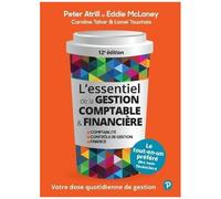 L'essentiel De La Gestion Comptable Et Financière - Comptabilité, Contrôle De Gestion, Finance
