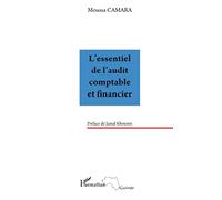L'essentiel de l'audit comptable et financier