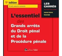 L'ESSENTIEL DES GRANDS ARRÊTS DE DROIT PÉNAL ET DE PROCÉDURE PÉNALE 2016-2017: 87 ARRÊTS ANALYSÉS ET COMMENTÉS