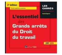 L'essentiel Des Grands Arrêts Du Droit Du Travail
