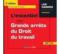 L'ESSENTIEL DES GRANDS ARRETS DU DROIT DU TRAVAIL, 2ED