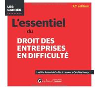 L'essentiel du droit des entreprises en difficulté
