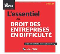 L'essentiel du droit des entreprises en difficulté (2020)
