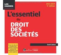 L'essentiel du droit des sociétés: À jour des décrets de juillet 2022 relatifs au Registre national des entreprises et aux autres registres (2023-2024)