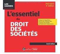 L'essentiel du droit des sociétés: Intègre les dispositions de la loi du 14 février 2022 en faveur de l'activité professionnelle indépendante (2022-2023)