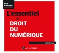 L'essentiel du droit du numérique Amélie Favreau (Auteur)