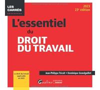 L'essentiel du droit du travail: Le droit du travail applicable en 2023 (2023)