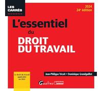 L'essentiel du droit du travail: Le droit du travail applicable en 2024 (2024)