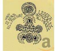 Lesser Gonzales Alvares - Why Is Bear Billo Ing?