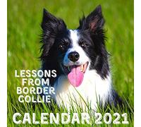 Lessons From Border Collie Calendar 2021: November 2020 - December 2021 Square Photo Book Monthly Planner Calendar With Border Collie Inspirational Quotes