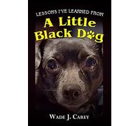 Lessons I've Learned From A Little Black Dog