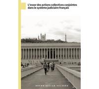 L'essor Des Actions Collectives Conjointes Dans Le Système Judiciaire Français - L'action Collective En Pratique