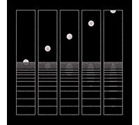 Circles Around the Sun Let It Wander (CD) Album