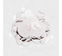 Let’s Go To Eat Crab’s Club