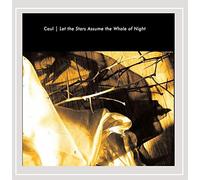 Let Stars Assume The Whole of Night