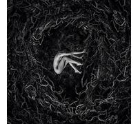 Let the Earth Be Silent