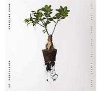Caroline Shaw & So Percussion - Let the Soil Play Its Simple Part