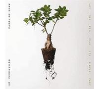 Let The Soil Play Its Simple Part