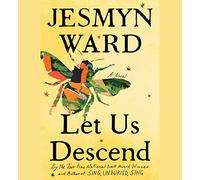 Let Us Descend: A Novel