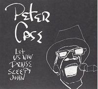 Let Us Now Praise Sleepy John by Peter Case (2007-08-24)