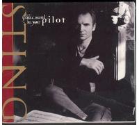 Let Your Soul Be Your Pilot