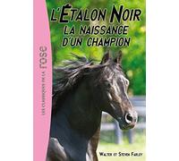L'Étalon Noir 19 - La naissance d'un champion
