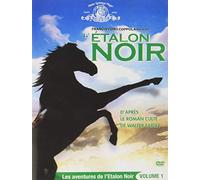 L'Etalon noir DVD