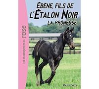 L'Étalon Noir 21 - Ébène, le fils de l'Étalon Noir