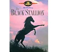 L'étalon noir – DVD – Zone 1 – Import USA