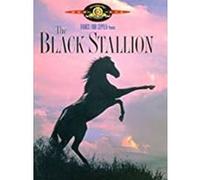 L'étalon noir - DVD Zone 1 DVD