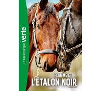 L'Etalon noir NED 17 - Flamme et l'Etalon noir