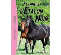 L'etalon Noir - Tome 17 - Flamme Et L'étalon Noir