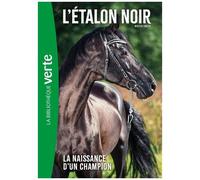 L'etalon Noir - Tome 19 - La Naissance D'un Champion